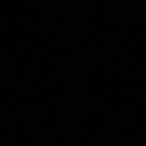 Meet your Posher, Reggie